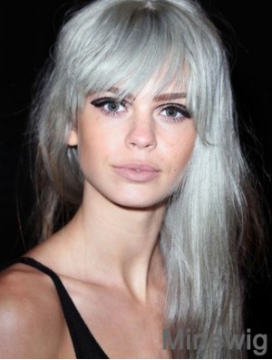 Popular Long Straight 20 inch Synthetic Grey Wigs